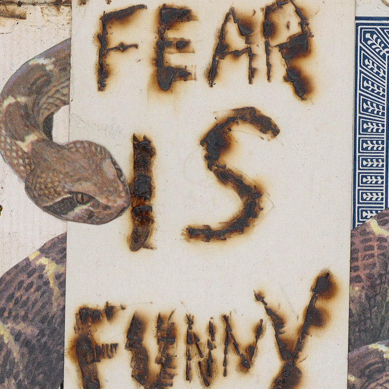 Fear Is Funny